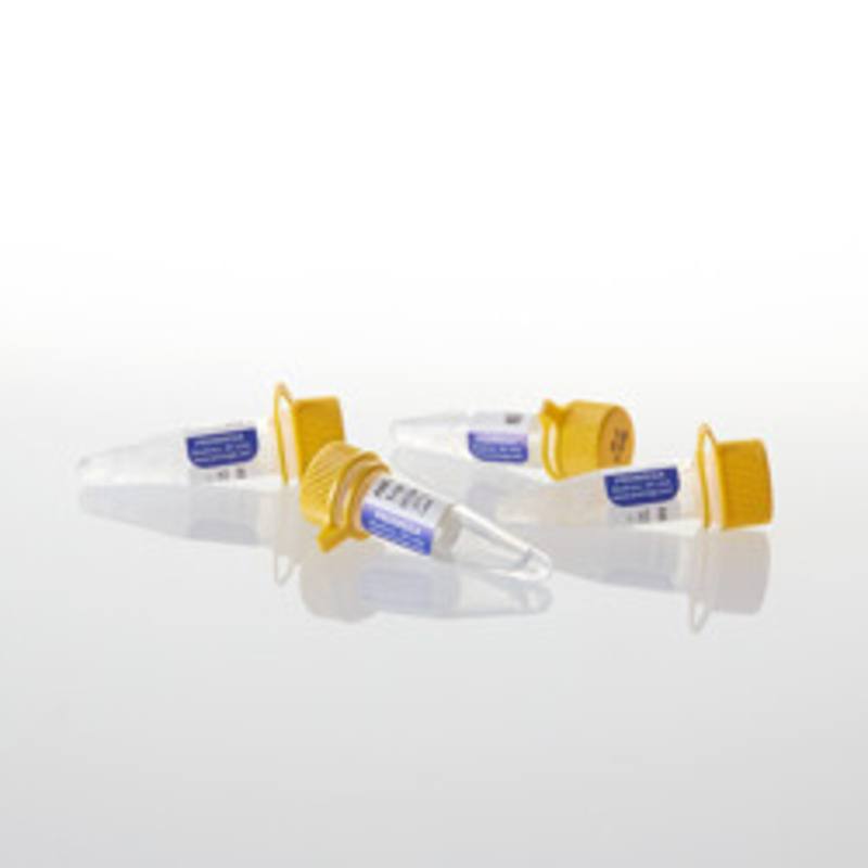 AMV Reverse Transcriptase, 1,000u