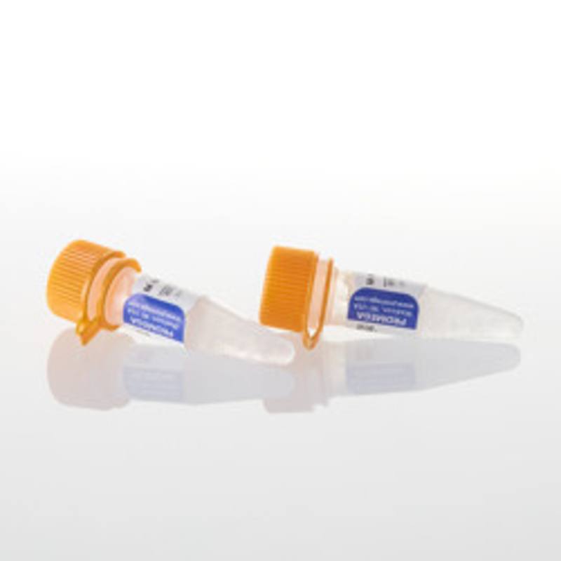 M-MLV Reverse Transcriptase Buffer Pack