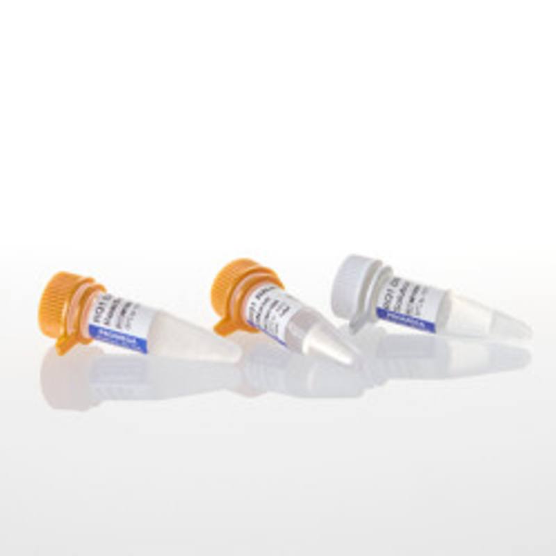 RQ1 RNase-Free DNase, 1,000u