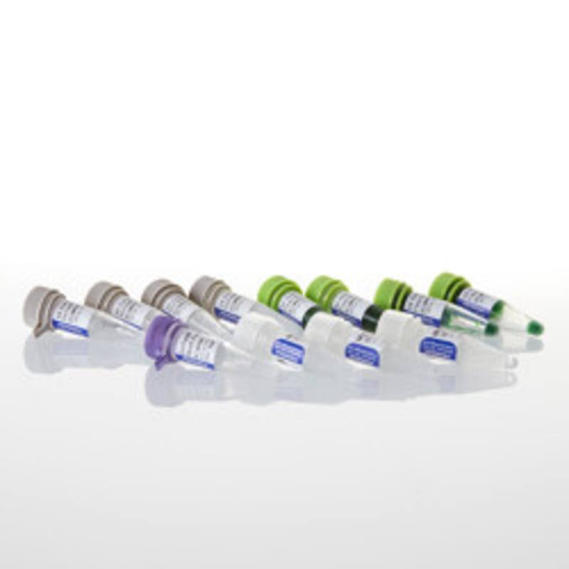 GoTaq(R) G2 Hot Start Polymerase, 500u
