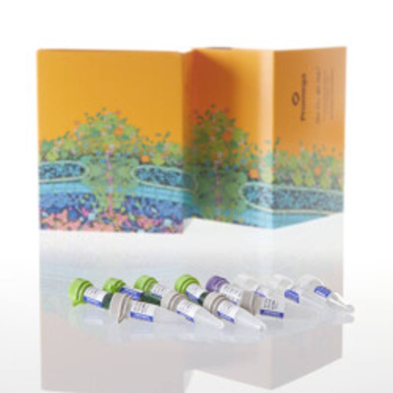GoTaq(R) G2 Hot Start Polymerase, 10,000u