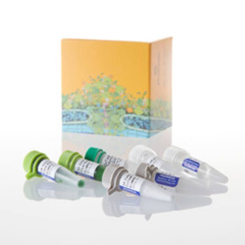 GoTaq(R) PCR Core System I 200rxs