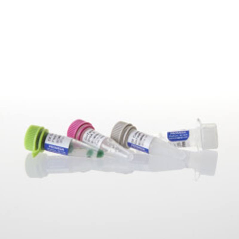 GoTaq(R) G2 Flexi DNA Polymerase, 100u