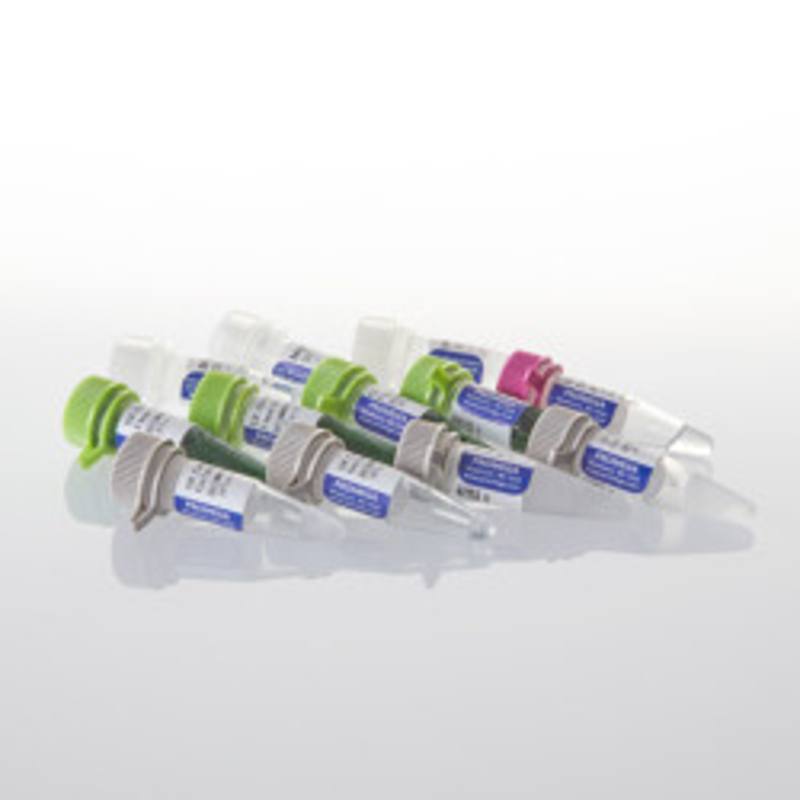 GoTaq(R) G2 Flexi DNA Polymerase, 500u