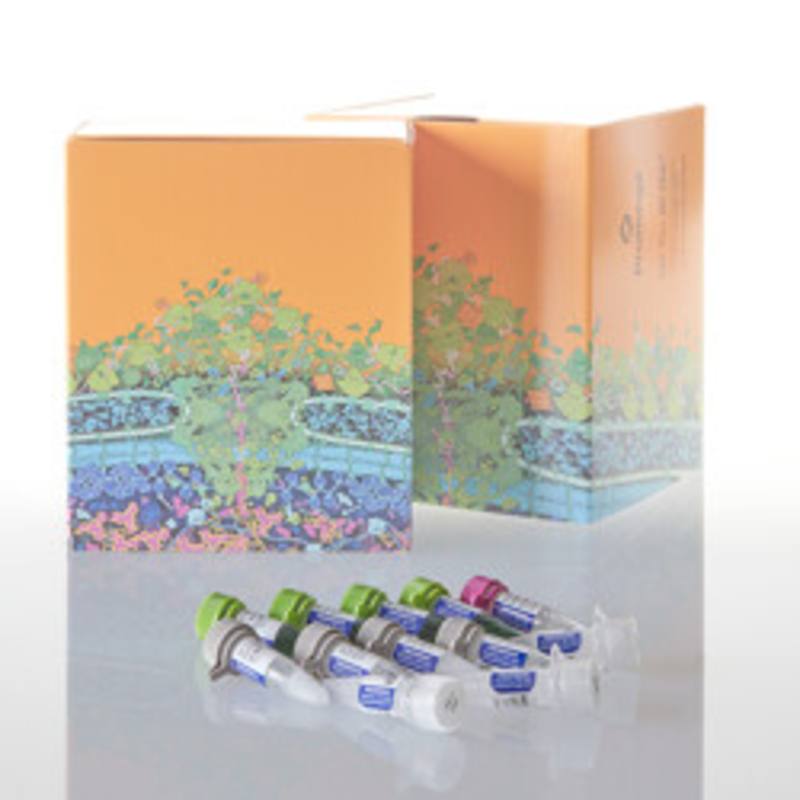 GoTaq(R) G2 Flexi DNA Polymerase, 10,000u