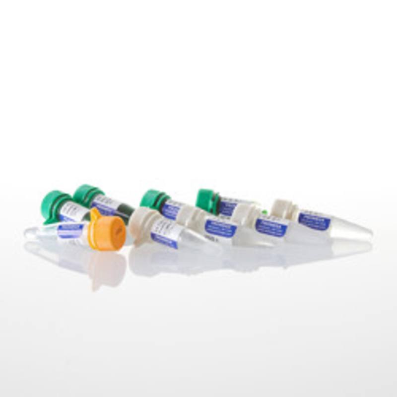 GoTaq(R) G2 DNA Polymerase, 500u