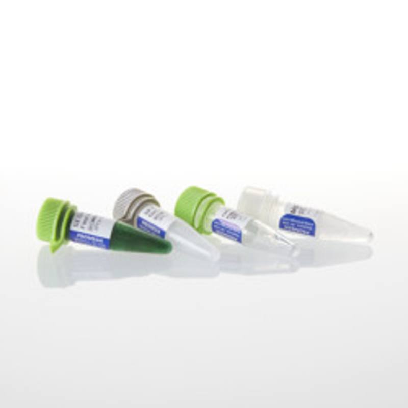GoTaq(R) Flexi DNA Polymerase, 100u