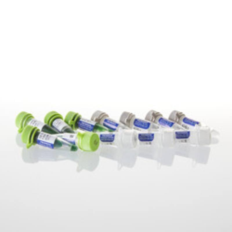 GoTaq(R) Flexi DNA Polymerase, 500u
