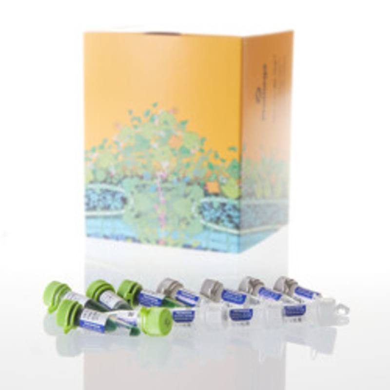 GoTaq(R) Flexi DNA Polymerase, 2500u