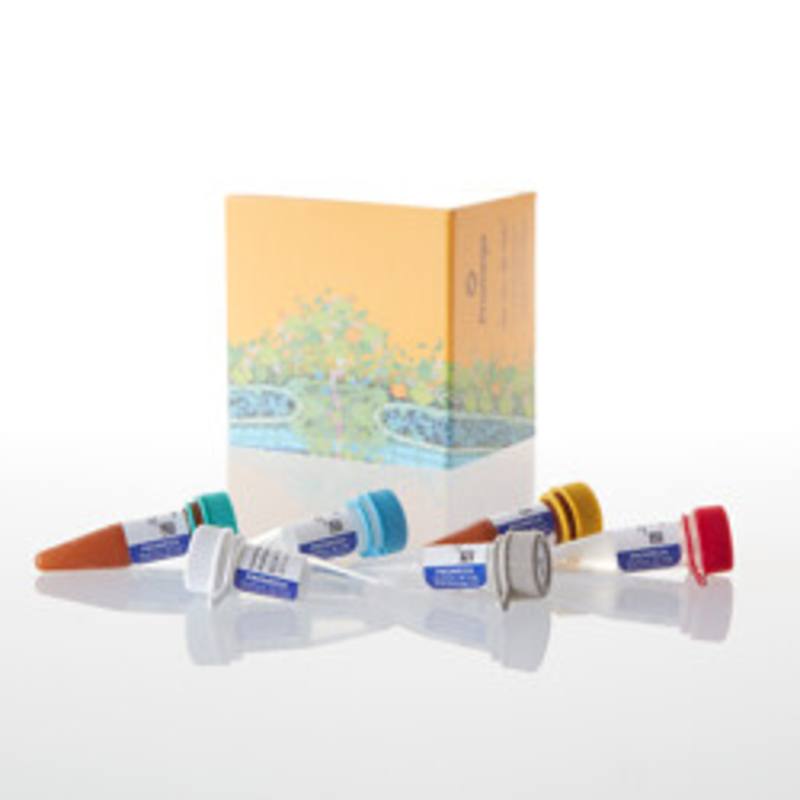 ISOQUANT(R) Isoaspartate Detection Kit