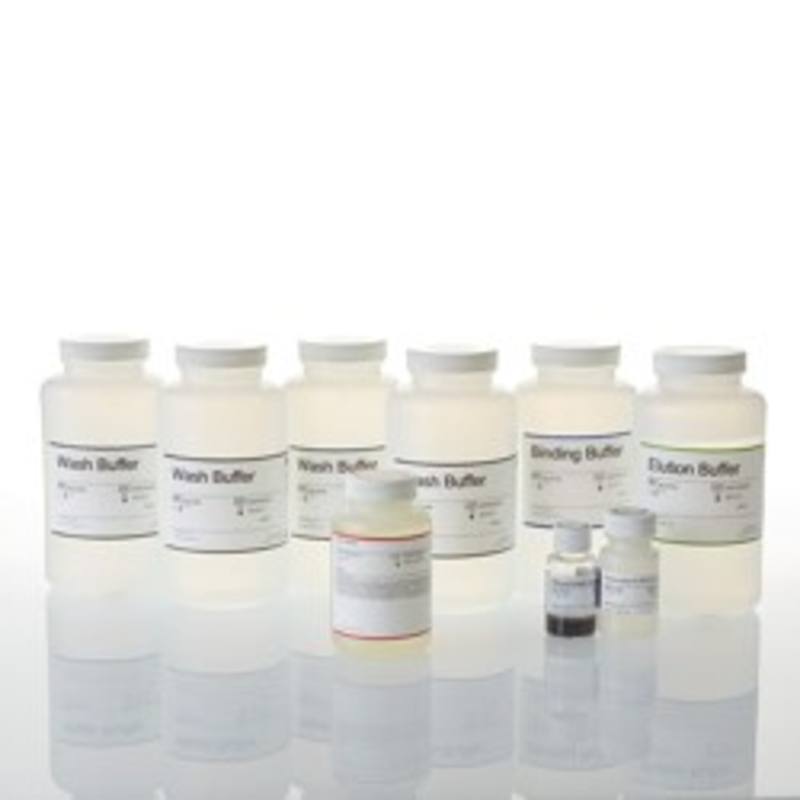 MagaZorb(R) DNA Mini-Prep Kit, 800 preps