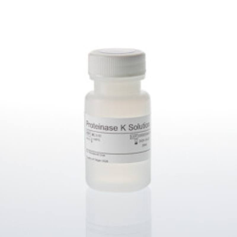 Proteinase K Solution, 20mg/ml, 20ml