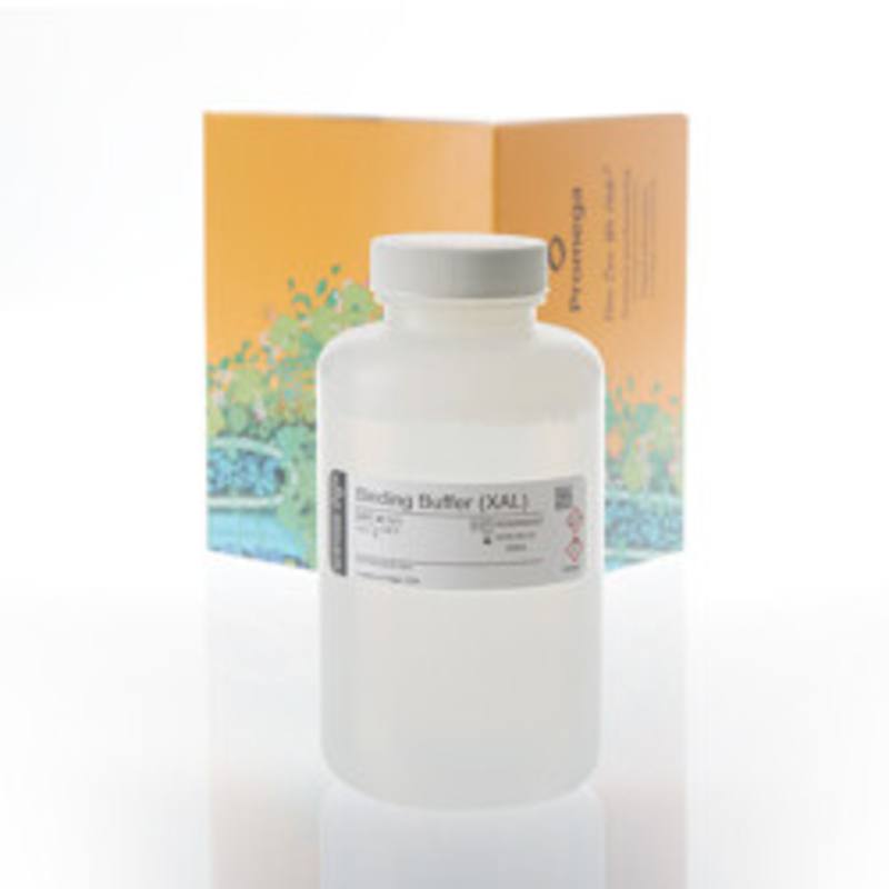Binding Buffer (XAL), 260ml