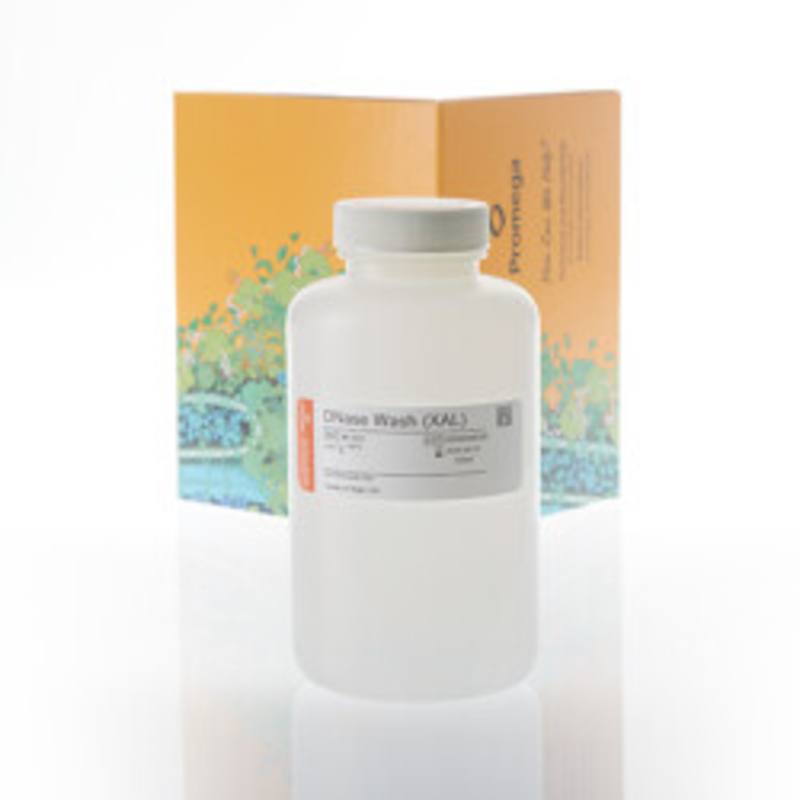 DNase Wash (XAL), 165ml