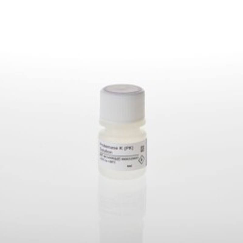 Proteinase K (PK) Solution, 4ml
