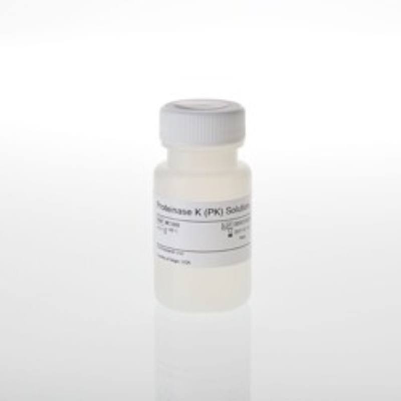 Proteinase K (PK) Solution, 16ml