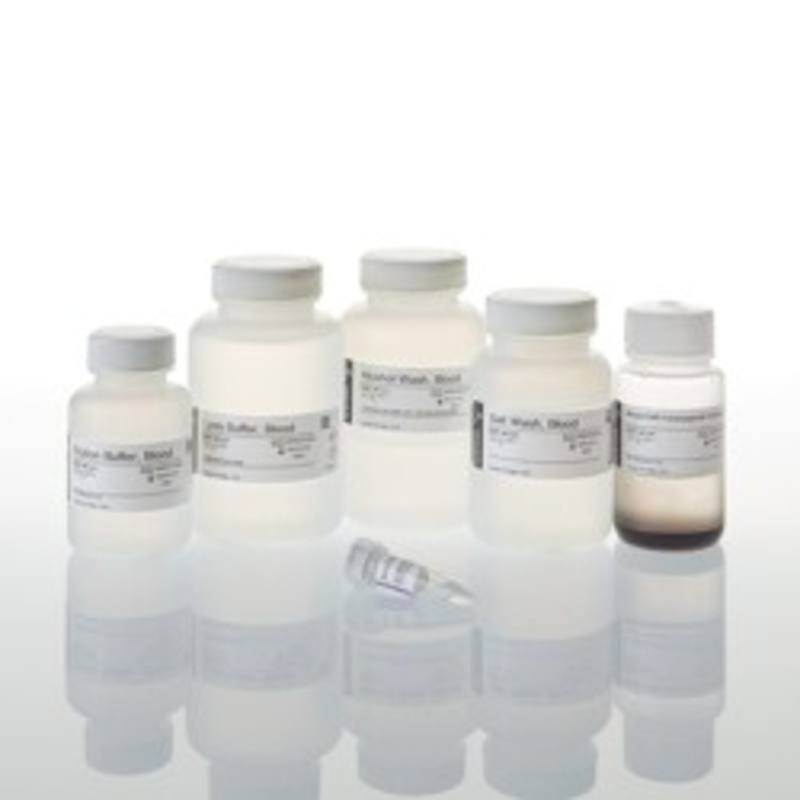MagneSil(R) Blood Genomic, Max Yield System
