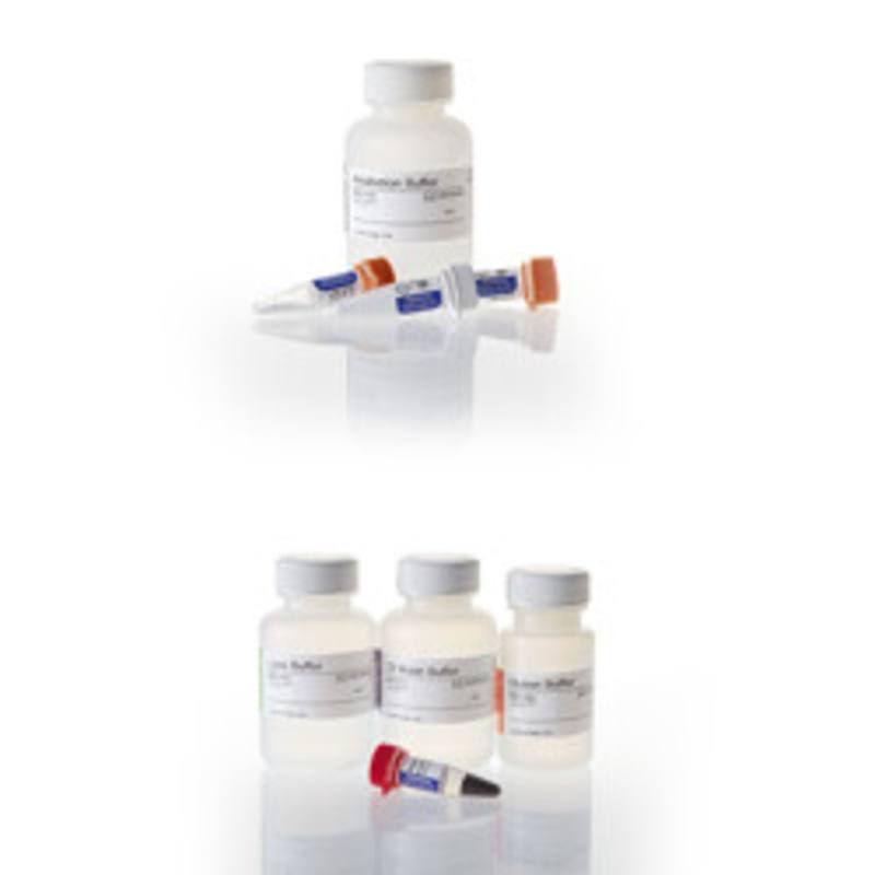 MagneSil(R) Genomic Fixed Tissue System