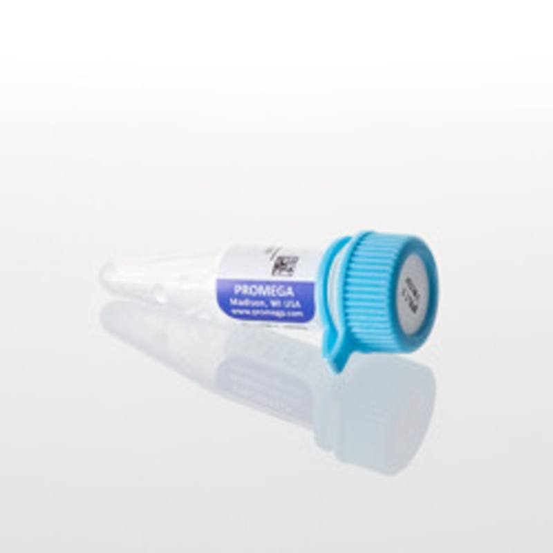 pNL1.1 [Nluc] Vector