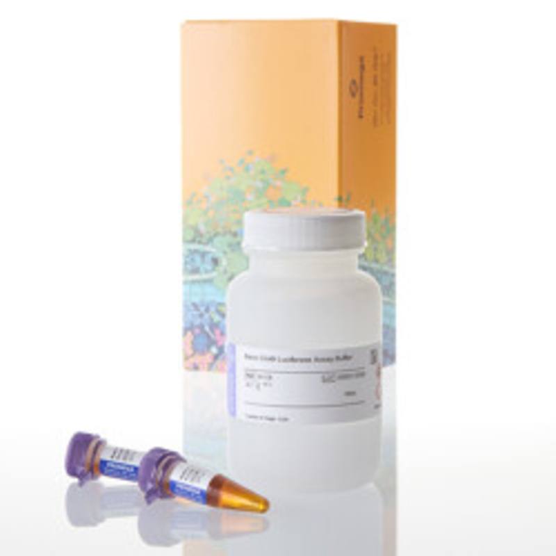 Nano-Glo(R) Luciferase Assay, 100ml