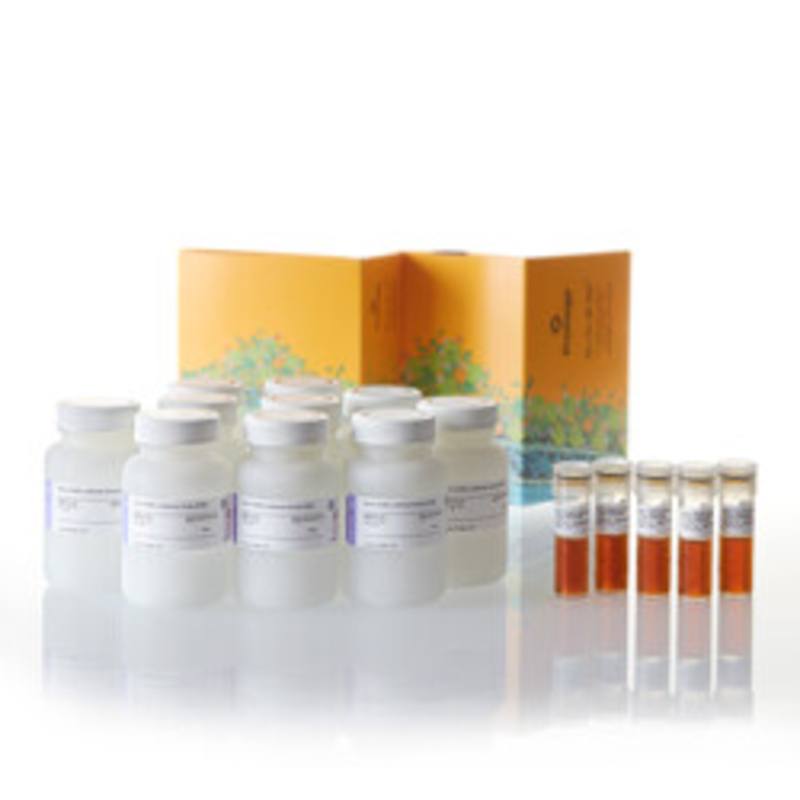 Nano-Glo(R) Luciferase Assay, 10x100ml
