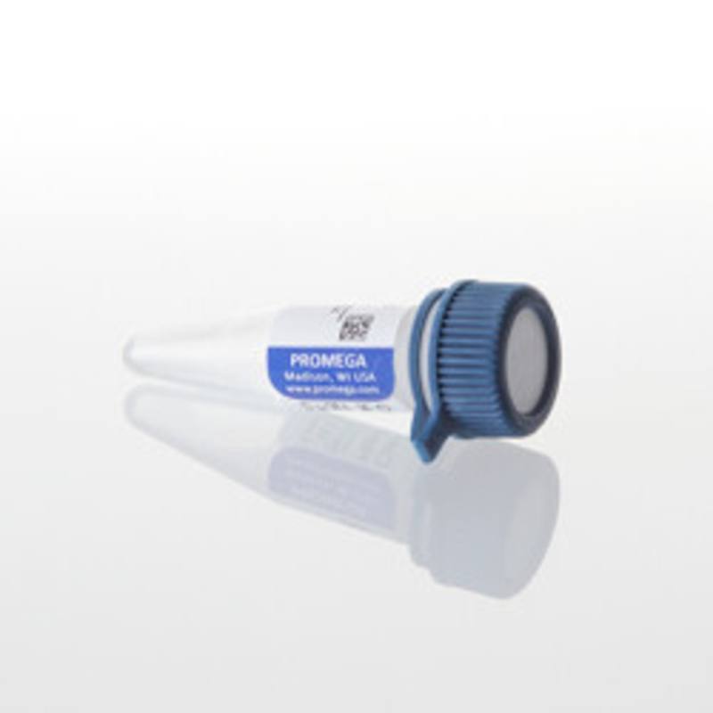 Converted Methylated Human Control, 1ug