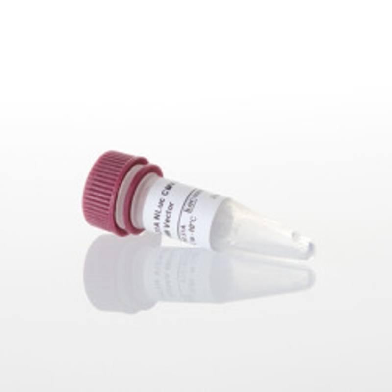 pFN31A NLuc CMV-Hygro Flexi(R) Vector