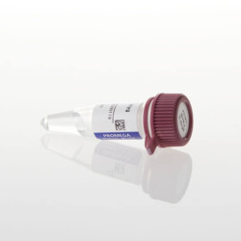 pFN31K NLuc CMV-neo Flexi(R) Vector