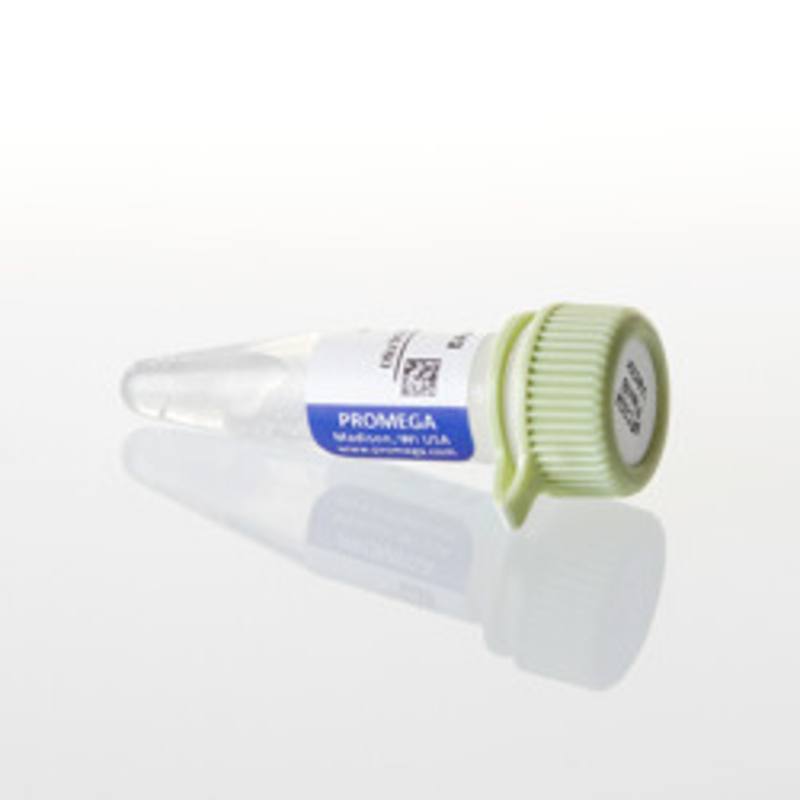 pFC32A NLuc CMV-Hygro Flexi(R) Vector