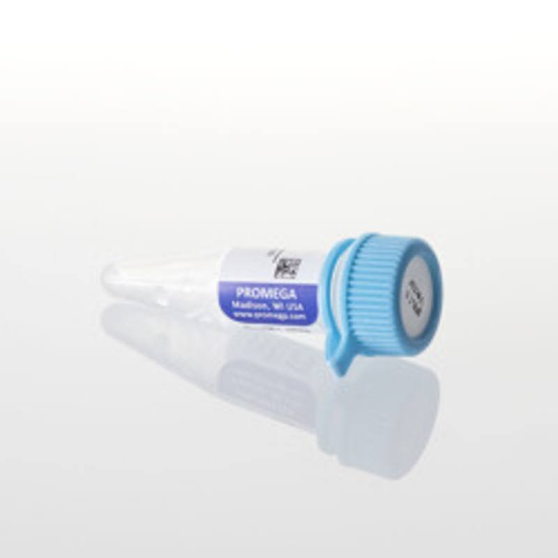 pNLCoI2[luc2-P2A-NlucP/minP/Hygro] Vector