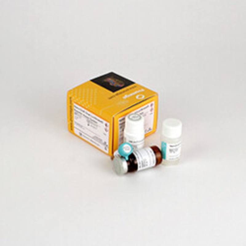 Nano-Glo(R) Dual-Luciferase(R) Reporter Assay System, 10ml