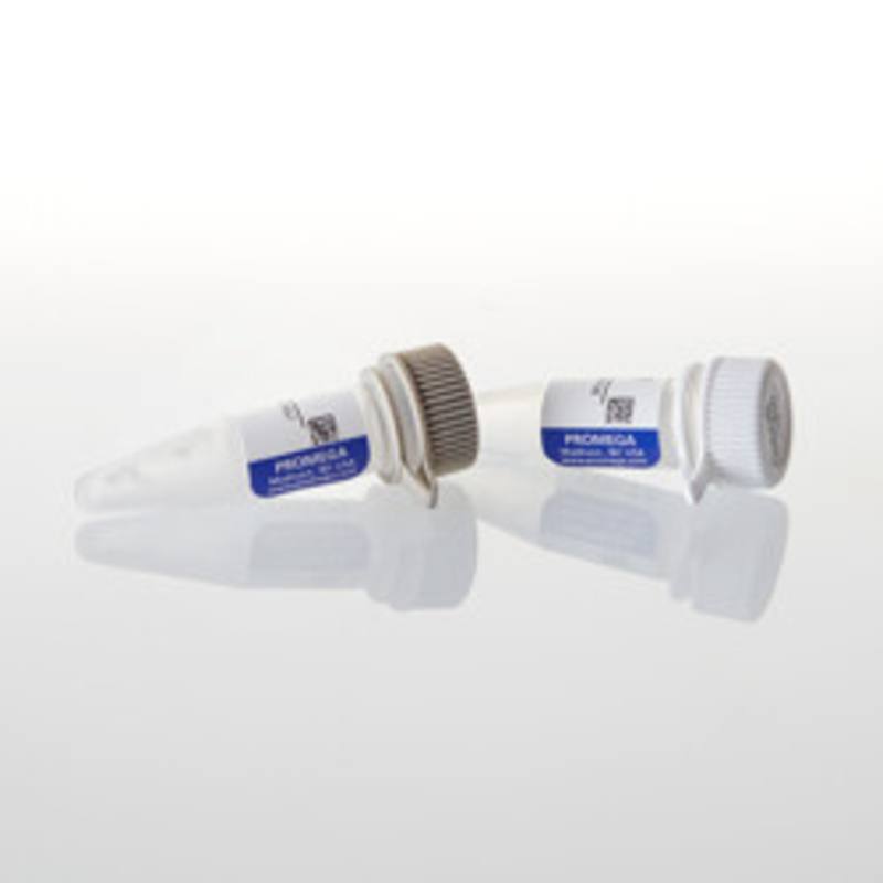 NanoBRET(R) PPI Control Pair (p53,MDM2)