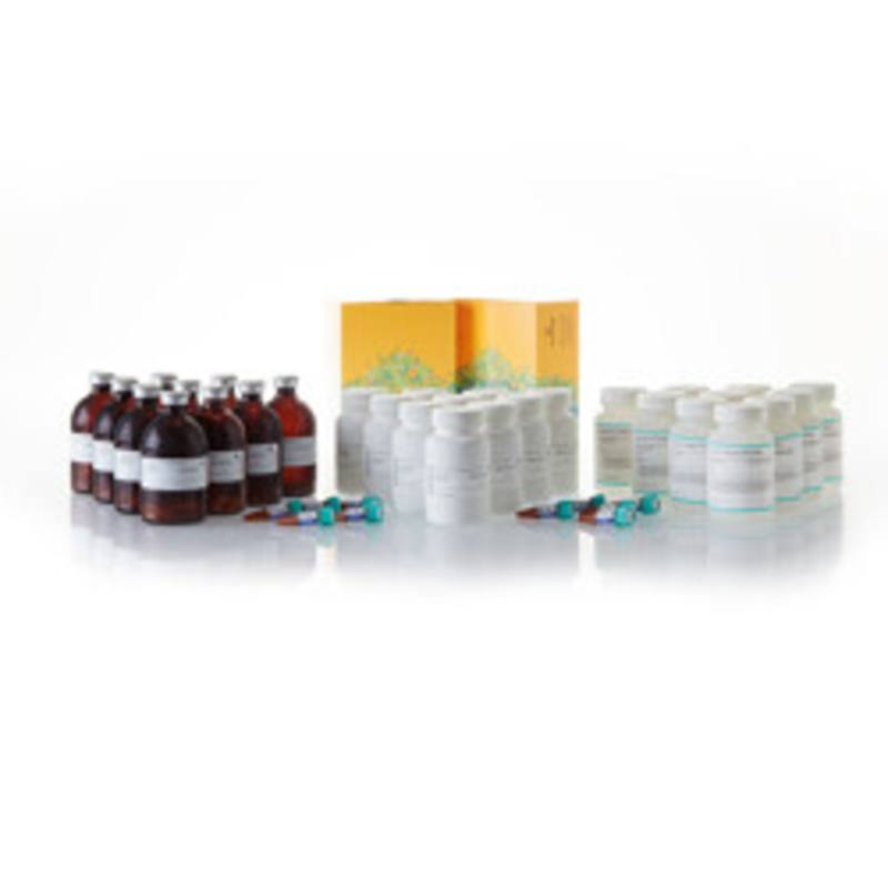 Nano-Glo(R) Dual-Luciferase(R) Reporter Assay, 10 X 100ml