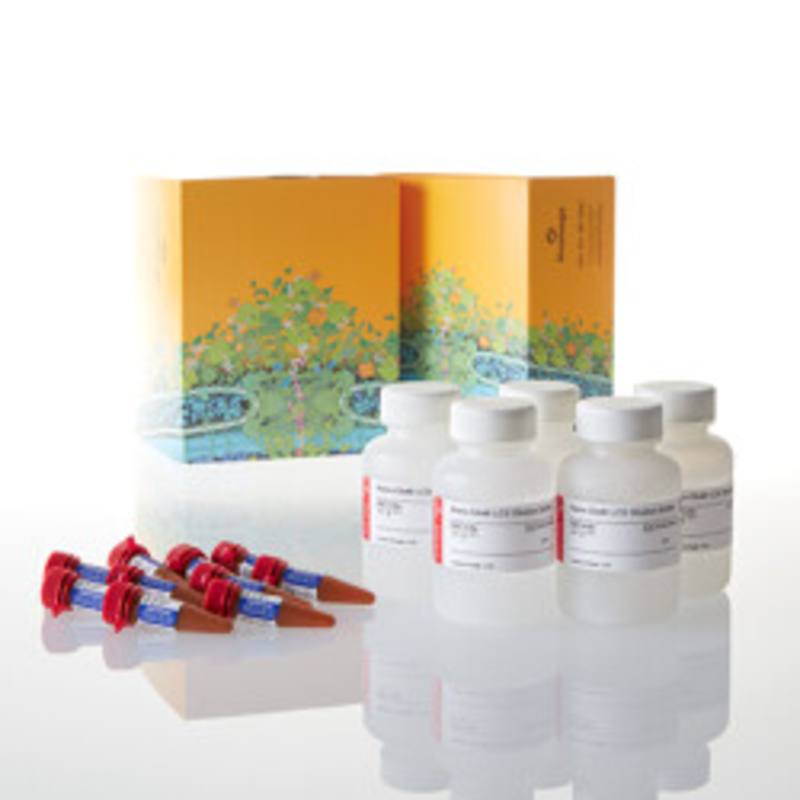 Nano-Glo(R) Live Cell Assay System, 10,000 Assays