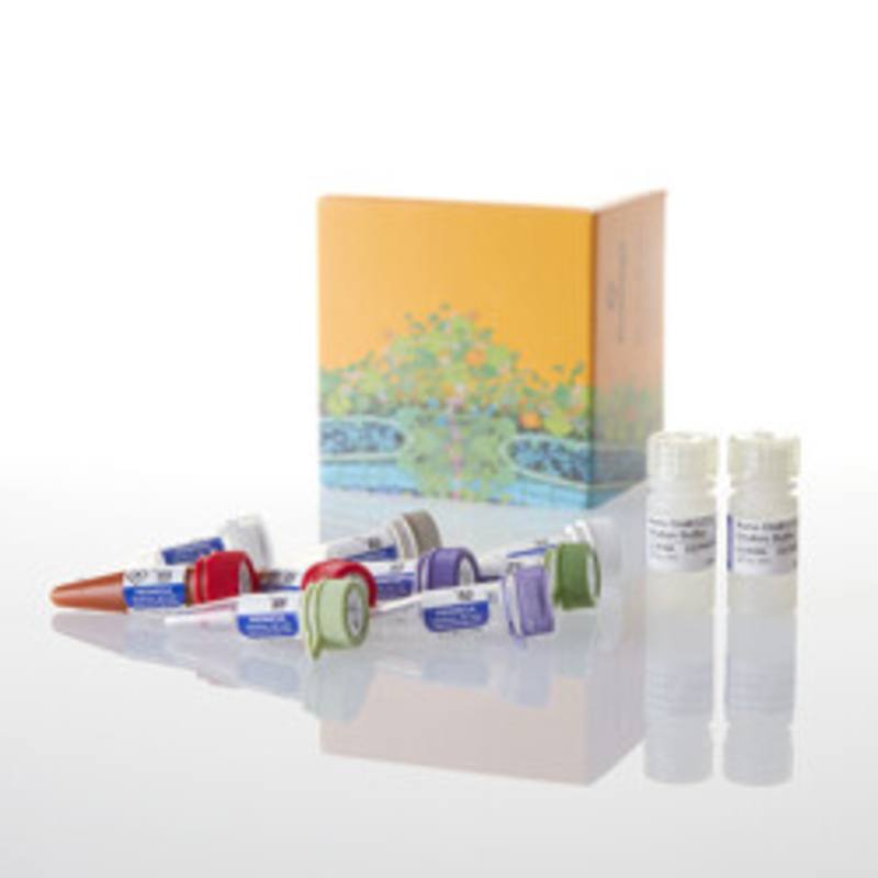 NanoBiT(R) PPI  MCS Starter System