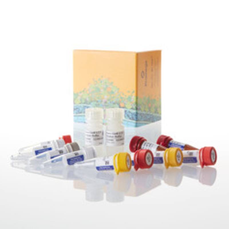 NanoBiT(R) PPI Flexi(R) Starter System