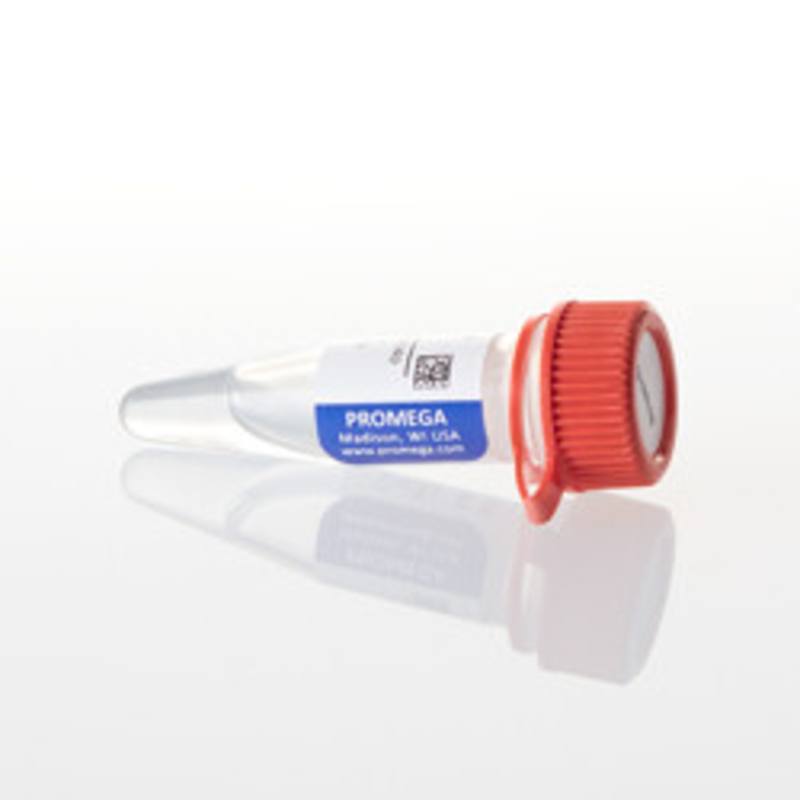 RNasin(R) RNase Inhibitor 10,000u