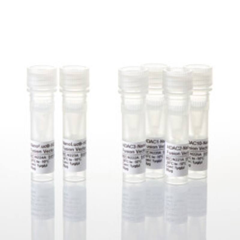 NanoBRET(R) TE HDAC DNA Bundle