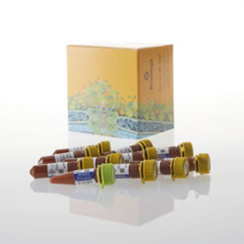 Intracellular TE Nano-Glo (R) Vivazine (R) /Inhibitor, 1,000