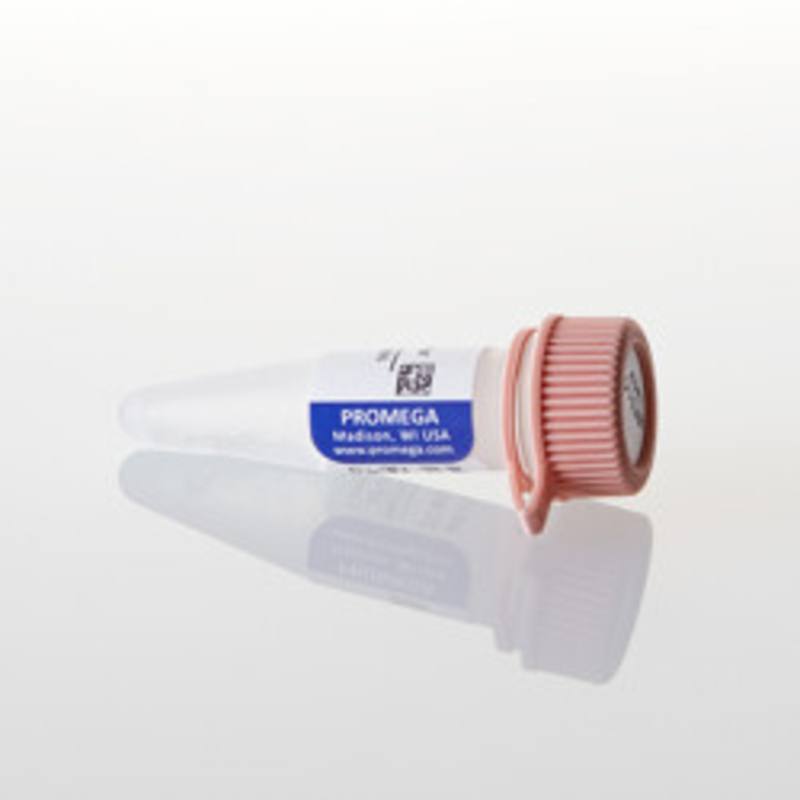 pBiT3.1-C [CMV/HiBiT/Blast] Vector