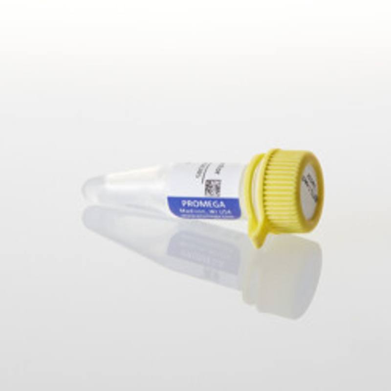 pBiT3.1-secN [CMV/HiBiT/Blast] Vector