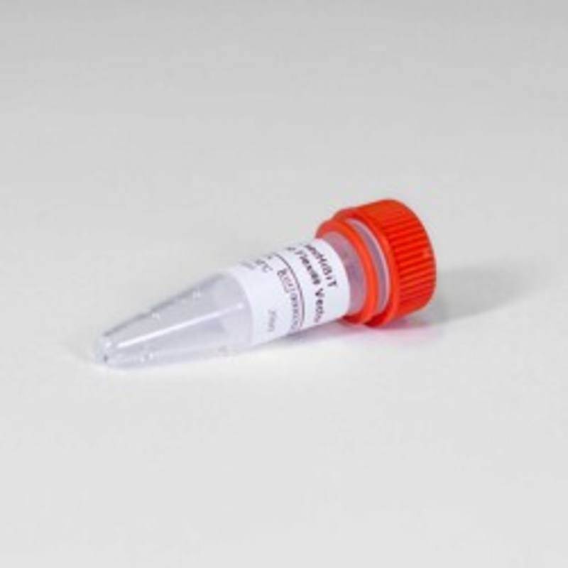 pFN39K secHiBiT CMV-neo Flexi(R) Vector