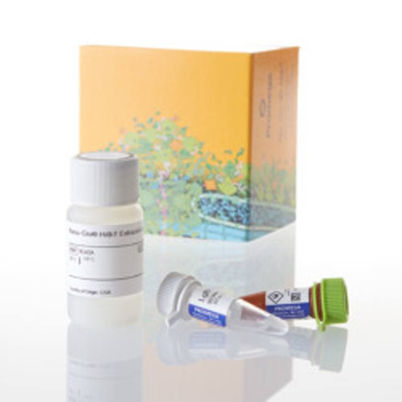 Nano-Glo(R) HiBiT Extracellular Detection System, 10ml
