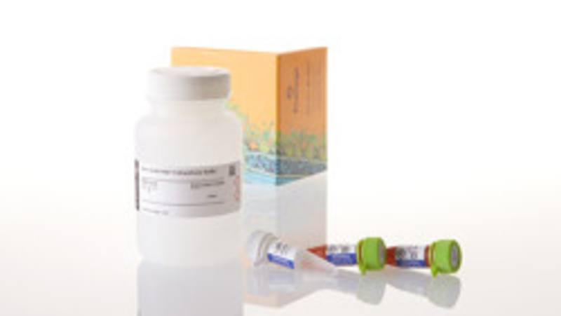 Nano-Glo(R) HiBiT Extracellular Detection System, 100ml