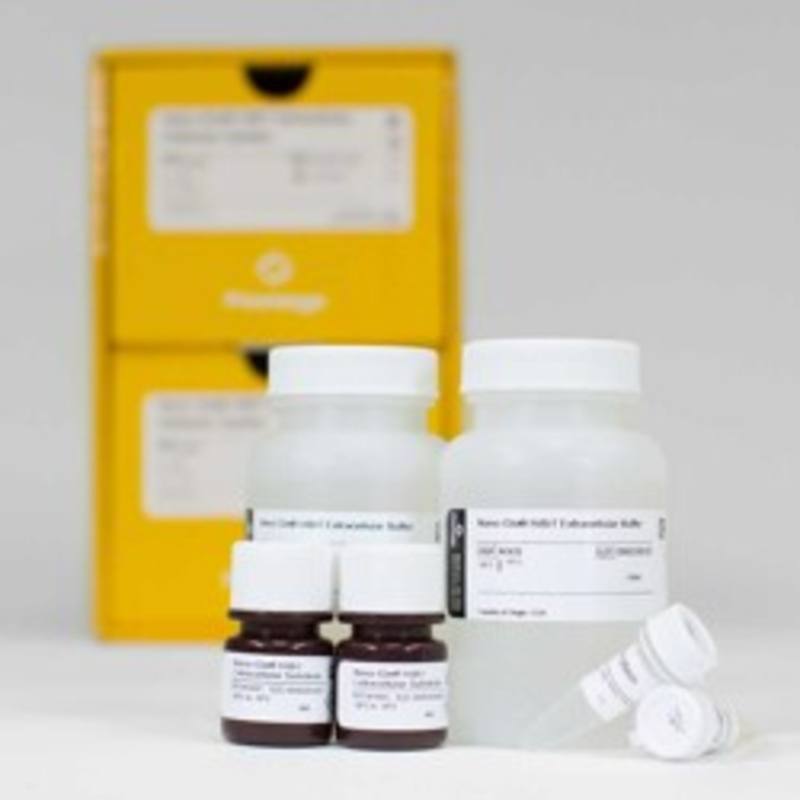 Nano-Glo(R) HiBiT Extracellular Detection System, 10 X 100ml