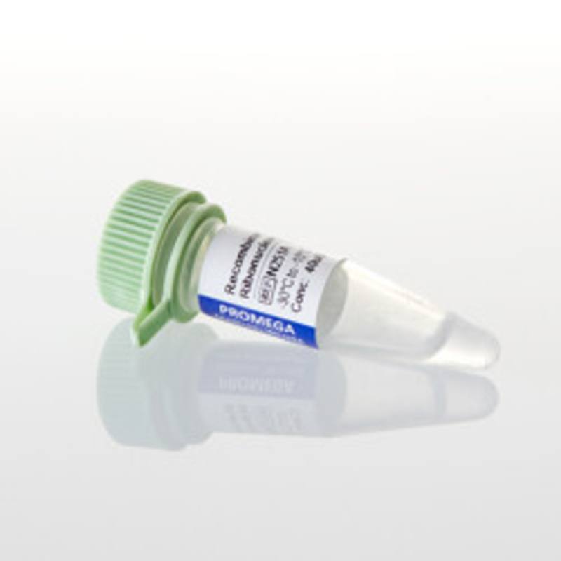 Recombinant RNasin(R) RNase Inhibitor, 2,500u