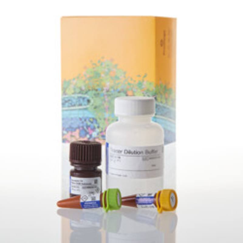NanoBRET(R) TE Intracellular Kinase Detection Reagents, K-5