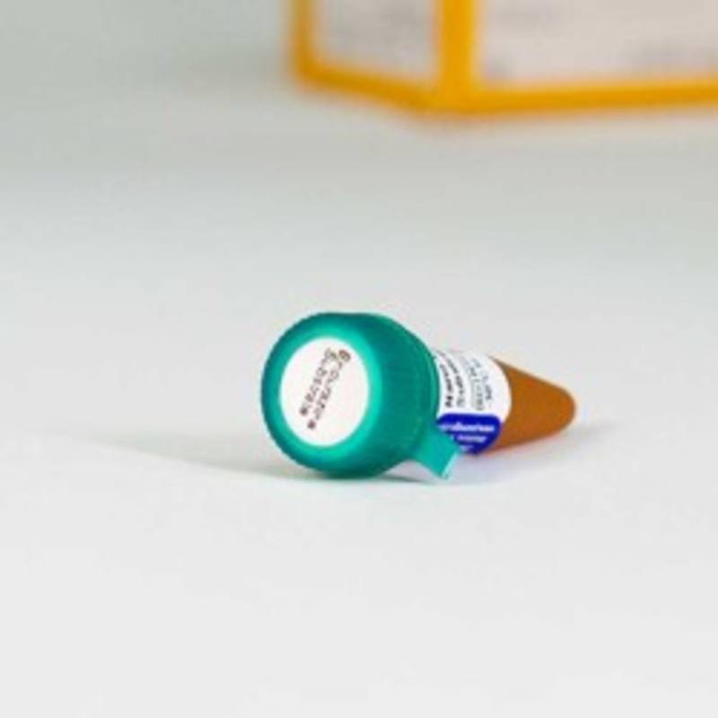 Nano-Glo(R) Endurazine(TM) Live Cell Substrate, 1ml