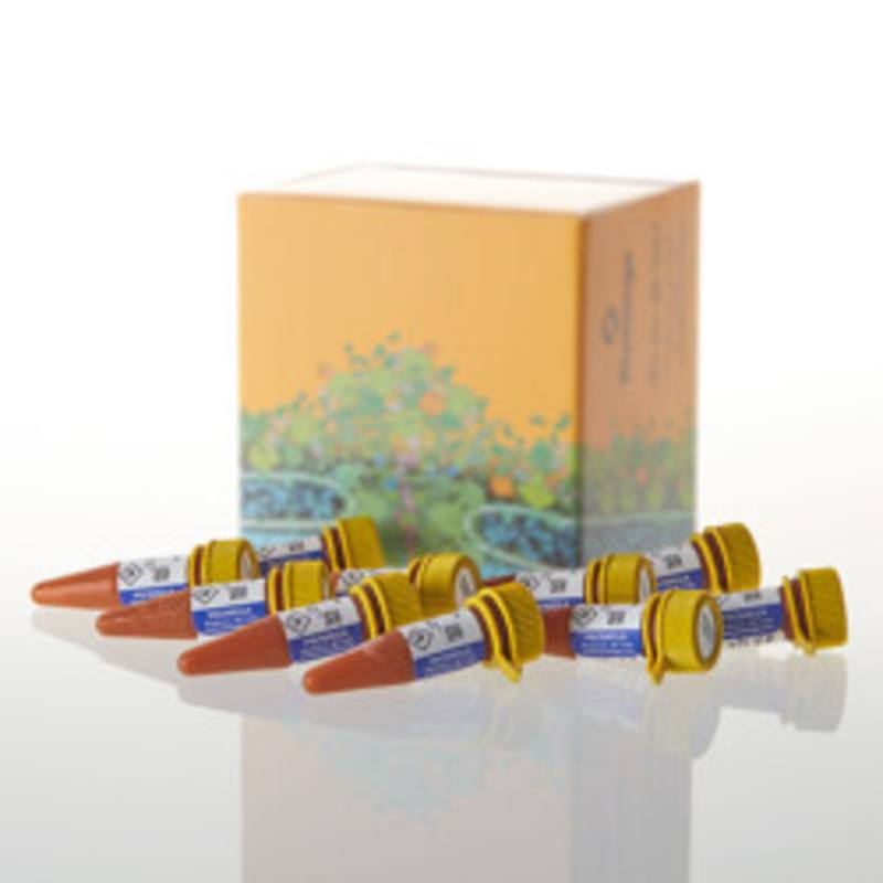 Nano-Glo(R) Vivazine(R) Live Cell Substrate, 10ml