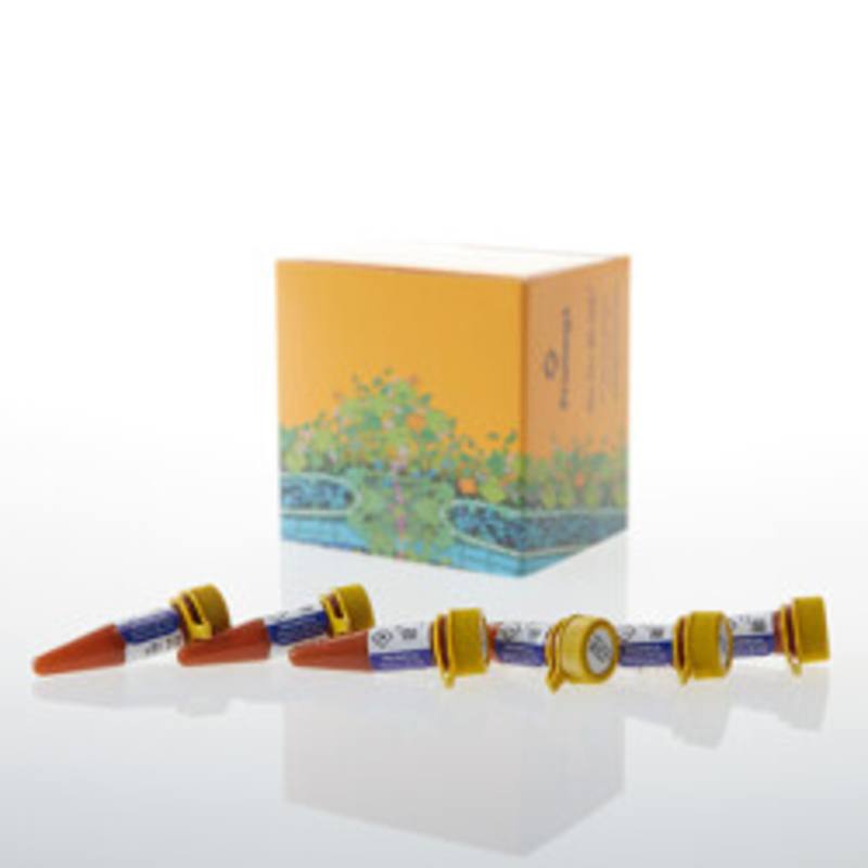 NanoBRET(R) Nano-Glo(R) Kinetic Detection System, 1,000